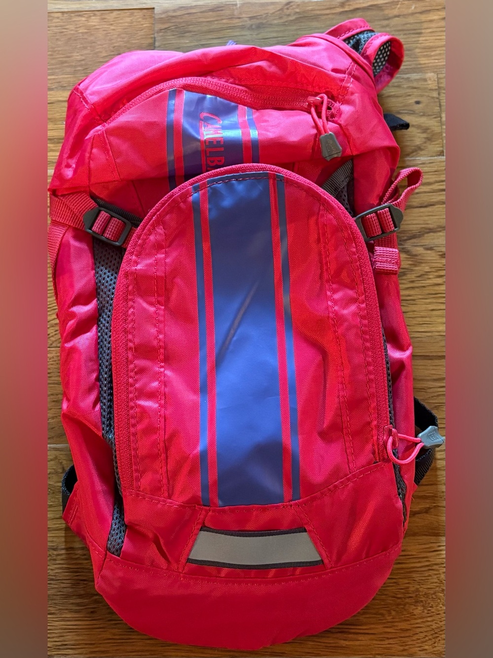 CamelBak Mini M.U.L.E. Kid's Hydration Backpack 50 oz Hot Pink No Reservoir, EUC